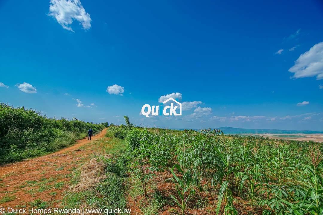 Prime Agricultural Plot for Sale in Nemba, Bugesera | Quick Homes Rwanda